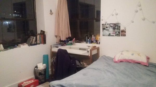 Large double bed, 2 huge windows. Common spaces (with balcony and roof!) shared  Paris, France Rental unit in Brooklyn · 1 bedroom · 1 bed · 1 bath Private room in rental unit vacation rental 9115832