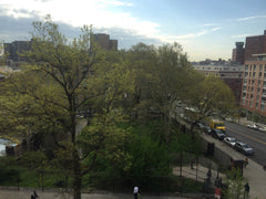 You will love this home that easily fits two and a (third if you don't mind an a New York, NY Rental unit in New York · 1 bedroom · 2 beds · 1 bath Entire rental unit vacation rental 12560137