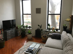 Welcome to my home, on the 2nd floor of a century old Brooklyn townhouse. The ne New York, NY Rental unit in Brooklyn · ★5.0 · 1 bedroom · 2 beds · 1 bath Entire rental unit vacation rental 22064022
