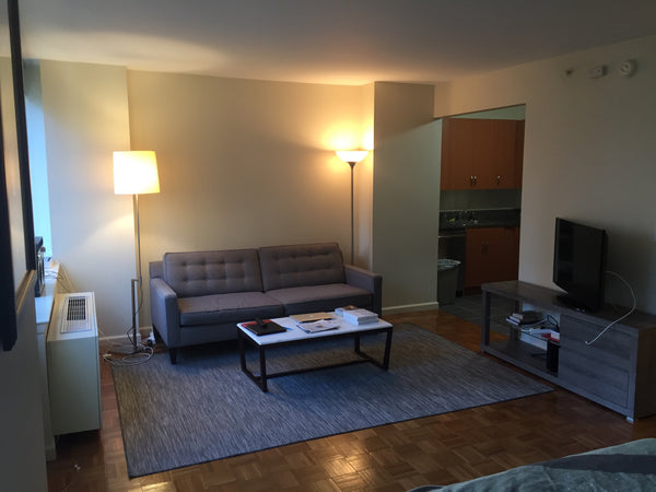 Large studio apartment in a Luxury DOORMAN elevator building with gorgeous ROOFT Great Neck, NY Rental unit in New York · Studio · 1 bed · 1 bath Entire rental unit vacation rental 15252848