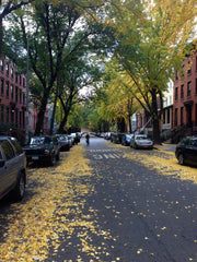 Charming, exposed brick, spacious one bedroom apartment located on a tree lined  New York, NY Rental unit in Brooklyn · ★5.0 · 1 bedroom · 1 bed · 1 bath Entire rental unit vacation rental 8101848