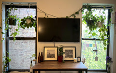 Enjoy the best of New York City in an amazing Soho location at this sun-drenched  Rental unit in New York · 1 bedroom · 1 bed · 1 bath Entire rental unit vacation rental 826032178888788188