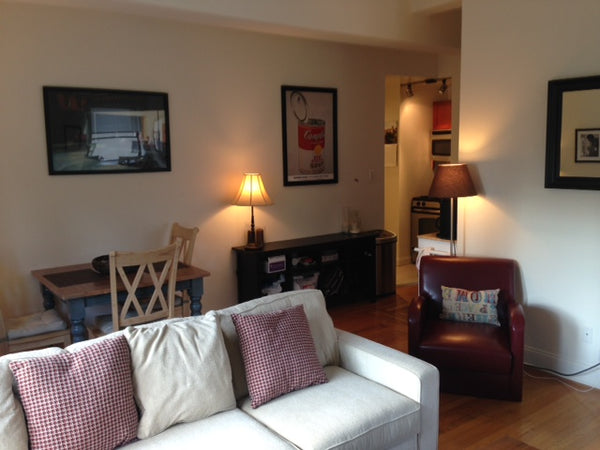 For Manhattan, this is a BRIGHT apartment with lovely south facing views from th New York, NY Rental unit in New York · 1 bedroom · 1 bed · 1 bath Entire rental unit vacation rental 4364924