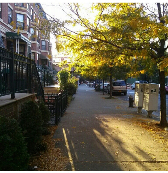 My home is stylish, spacious, and clean. If you are a non-smoker seeking a bed & New York, NY Rental unit in New York · 1 bedroom · 2 beds · 1 bath Private room in rental unit vacation rental 3278631