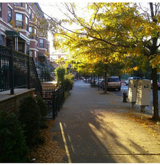 My home is stylish, spacious, and clean. If you are a non-smoker seeking a bed & New York, NY Rental unit in New York · 1 bedroom · 2 beds · 1 bath Private room in rental unit vacation rental 3278631