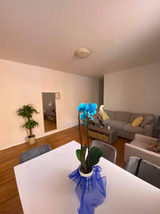 The whole group will enjoy easy access to everything from this centrally located New York, NY Rental unit in New York · ★5.0 · 1 bedroom · 1 bed · 1 shared bath Private room in rental unit vacation rental 846159021680447362