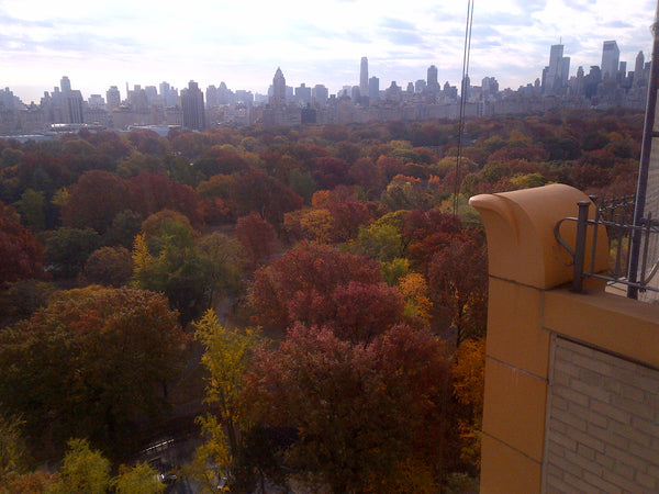 Spend Xmas-NYRs 2013 in the nicest 1BR apartment overlooking Central Park/NYC<br New York, NY Rental unit in New York · 1 bedroom · 1 bed · 1 bath Entire rental unit vacation rental 1979579
