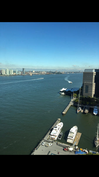 Great modern apartment with doorman, in an extremely safe location, direct acces  Condo in New York · 1 bedroom · 1 bed · 1 bath Entire condo vacation rental 40849947