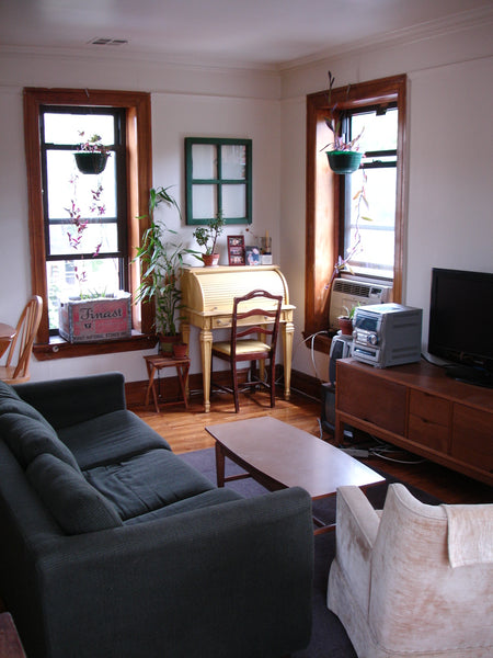 Rental unit in Brooklyn · ★4.75 · Studio · 2 beds · 1 bath Entire rental unit vacation rental 206316