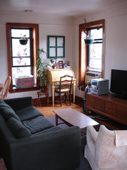   Rental unit in Brooklyn · ★4.75 · Studio · 2 beds · 1 bath Entire rental unit vacation rental 206316