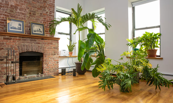 Just right in the middle of New York City's best. Perfect location in Manhattan!  Rental unit in New York · ★New · 1 bedroom · 2 beds · 1 bath Entire rental unit vacation rental 1068927767874291249
