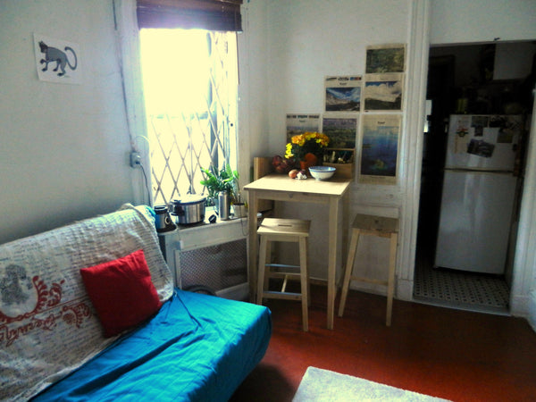 Cosy little studio in the heart of chinatown. Five minute walk form the Lower Ea New York, NY Rental unit in New York · Studio · 1 bed · 1 bath Entire rental unit vacation rental 16271281