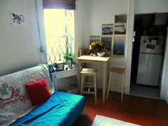 Cosy little studio in the heart of chinatown. Five minute walk form the Lower Ea New York, NY Rental unit in New York · Studio · 1 bed · 1 bath Entire rental unit vacation rental 16271281