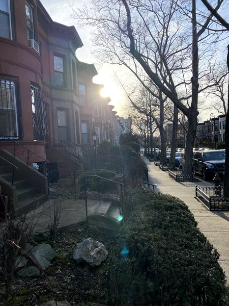 Charming and carefully considered private suite in historic neighborhood in the   Home in Brooklyn · ★4.90 · 1 bedroom · 1 bed · 1 private bath Private room in home vacation rental 852218745427974636