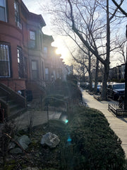 Charming and carefully considered private suite in historic neighborhood in the   Home in Brooklyn · ★4.90 · 1 bedroom · 1 bed · 1 private bath Private room in home vacation rental 852218745427974636
