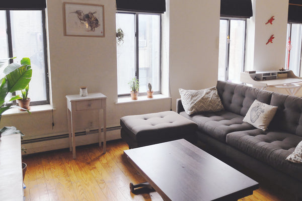 A sunny loft-style apartment nestled between Chinatown & the Lower East Side.  B New York, NY Rental unit in New York · ★4.67 · 1 bedroom · 1 bed · 1 bath Entire rental unit vacation rental 258930