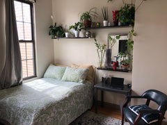 Sunny large bedroom with giant windows. Nice cozy bed. Dresser will be empty for New York, NY Rental unit in Brooklyn · 1 bedroom · 1 bed · 1 shared bath Private room in rental unit vacation rental 24075491