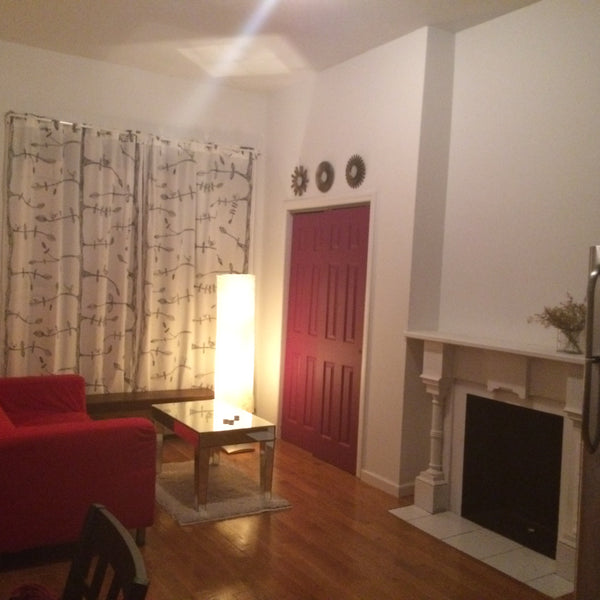With high ceilings, great natural lighting, a modern bathroom, and decorative fi New York, NY Rental unit in Brooklyn · 1 bedroom · 1 bed · 1 bath Private room in rental unit vacation rental 7274441