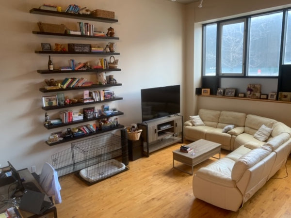 Huge (950+ square feet / 20’ ceilings) 1-bedroom apartment available in luxury P New York, NY Rental unit in Brooklyn · 1 bedroom · 1 bed · 1 bath Entire rental unit vacation rental 32468788