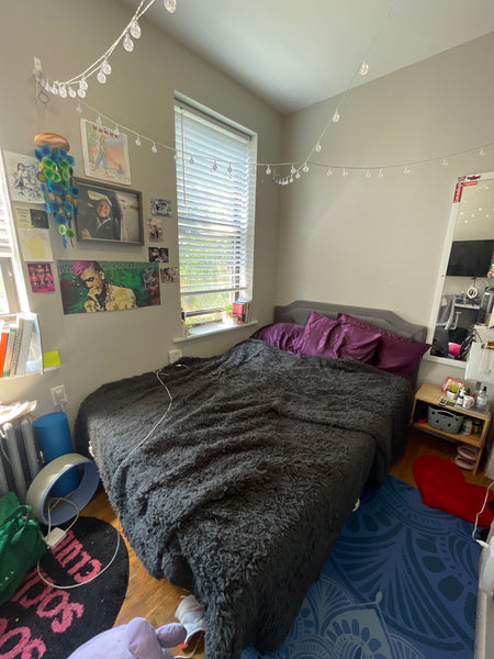 Enjoy a peaceful stay in this cozy private bedroom in an apartment in the East V New York, NY Rental unit in New York · 1 bedroom · 1 bed · 1 shared bath Private room in rental unit vacation rental 712211756060399505