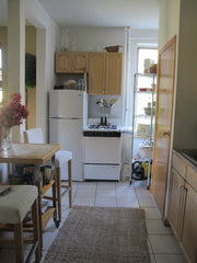 Sun drenched 2bd/1b apartment. Surrounded by parks, and spectacular views of the New York, NY Rental unit in New York · 2 bedrooms · 2 beds · 1 bath Entire rental unit vacation rental 4462553