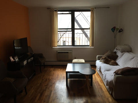 A Spacious 750 sqft 1 BR appartment in the Heart of Manhattan!<br /><br />Minute New York, NY Rental unit in New York · 1 bedroom · 1 bed · 1 bath Private room in rental unit vacation rental 6179500