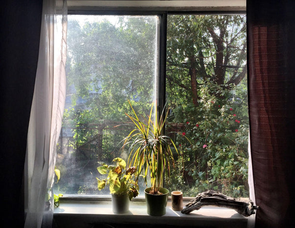 A good sized, 1st floor apartment, our place is literally STEPS away from Restau New York, NY Rental unit in Queens · Studio · 2 beds · 1 bath Entire rental unit vacation rental 13208233