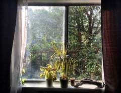 A good sized, 1st floor apartment, our place is literally STEPS away from Restau New York, NY Rental unit in Queens · Studio · 2 beds · 1 bath Entire rental unit vacation rental 13208233