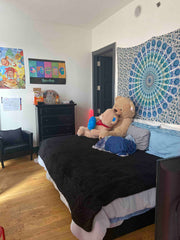 Kick back and relax in this calm, stylish space.420 friendly no extra guest no k New York, United States Condo in Brooklyn · 1 bedroom · 1 bed · 1 private bath Private room in condo vacation rental 52651961