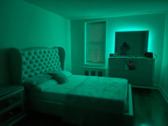 This stylish place is safe for Females  Rental unit in Brooklyn · 1 bedroom · 1 bed · 1 shared bath Private room in rental unit vacation rental 54032723