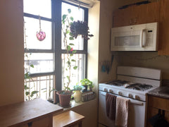 Welcome to the Heights! A beautiful Dominican/Latinx Neighborhood located in upp Minneapolis, MN Rental unit in New York · 1 bedroom · 1 bed · 1 shared bath Private room in rental unit vacation rental 40558396