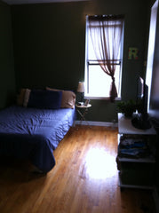 This is an adorable apartment in Astoria off the R/M/N/Q subway lines.  Just a 1 New York, United States Rental unit in Queens · 1 bedroom · 1 bed · 1 bath Private room in rental unit vacation rental 9821359