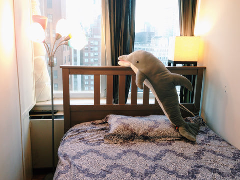 A not big but amazing private room with everything you need. Located at financia Bethlehem, PA Rental unit in New York · 1 bedroom · 1 bed · 1 bath Private room in rental unit vacation rental 13467433