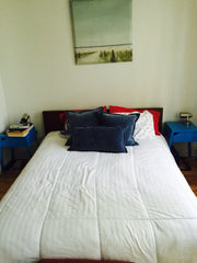 Charming apartment in Park Slope just steps from Prospect Park in Brooklyn! The  Ocean Beach, NY Rental unit in Brooklyn · 1 bedroom · 1 bed · 1 bath Entire rental unit vacation rental 8841107