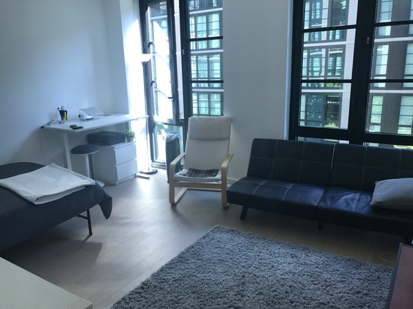 Brand new studio in Gowanus, Brooklyn. Lots of light and everything else you cou New York, NY Rental unit in Brooklyn · Studio · 1 bed · 1 bath Entire rental unit vacation rental 19403353