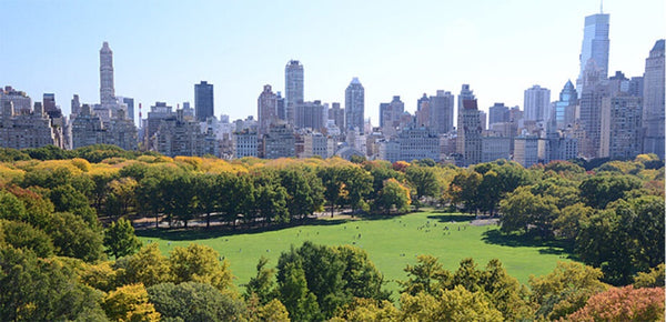 Los Angeles, CA Rental unit in New York · 1 bedroom · 1 bed · 1 shared bath Private room in rental unit vacation rental 40513927