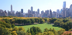  Los Angeles, CA Rental unit in New York · 1 bedroom · 1 bed · 1 shared bath Private room in rental unit vacation rental 40513927