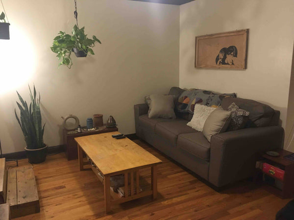 Lovely and spacious apartment with two cute cats. Living room has tv/roku. Kitch New York, United States Home in Brooklyn · 1 bedroom · 1 bed · 1 shared bath Private room in home vacation rental 31898630