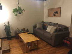Lovely and spacious apartment with two cute cats. Living room has tv/roku. Kitch New York, United States Home in Brooklyn · 1 bedroom · 1 bed · 1 shared bath Private room in home vacation rental 31898630
