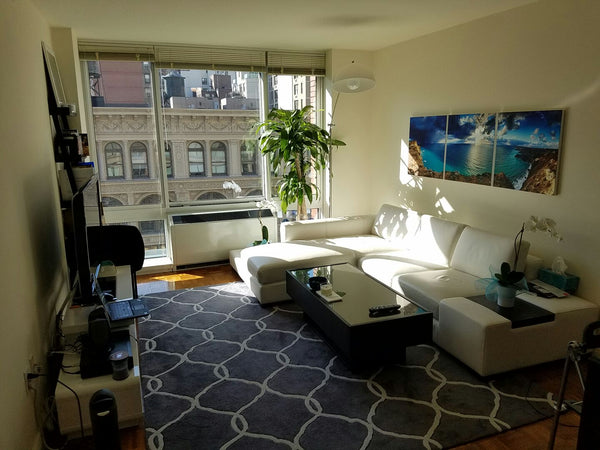Spacious 1-Bedroom with Queen size bed, floor-to-ceiling windows and beautiful v Great Neck, NY Rental unit in New York · ★4.88 · 1 bedroom · 1 bed · 1 bath Entire rental unit vacation rental 19439790