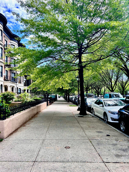Welcome to your stylish one-bedroom apartment in Brooklyn! Located on Eastern Pa  Rental unit in Brooklyn · 1 bedroom · 1 bed · 1 bath Entire rental unit vacation rental 886171838266304235