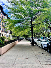 Welcome to your stylish one-bedroom apartment in Brooklyn! Located on Eastern Pa  Rental unit in Brooklyn · 1 bedroom · 1 bed · 1 bath Entire rental unit vacation rental 886171838266304235