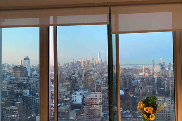 LUXURY building with a million dollar view. No exaggeration. You can see downtow  Rental unit in New York · ★4.56 · 1 bedroom · 2 beds · 1 bath Entire rental unit vacation rental 53605960