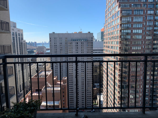 Large room with great views of Manhattan. A short walk to Central Park. Shops an  Rental unit in New York · 1 bedroom · 1 bed · 1 shared bath Private room in rental unit vacation rental 42771787