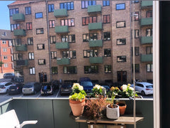 2th floor apartment is in a very scananavian style - all about natural elements  Copenhagen, Denmark Cozy scandinavian apartment with two balconies Entire rental unit vacation rental 33326956