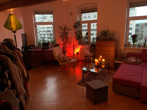 This unique place is run by an artist and has a style all its own - filled with  Sarajevo, Bosnia & Herzegovina Arts and Plants: Sunny Studio near Schoenbrunn :) Entire rental unit vacation rental 601959778521700488