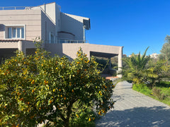 The Villa Green Hill is located in a garden filled with olive trees.<br />There  Chania, Greece Villa Green Hill Entire villa vacation rental 53949092