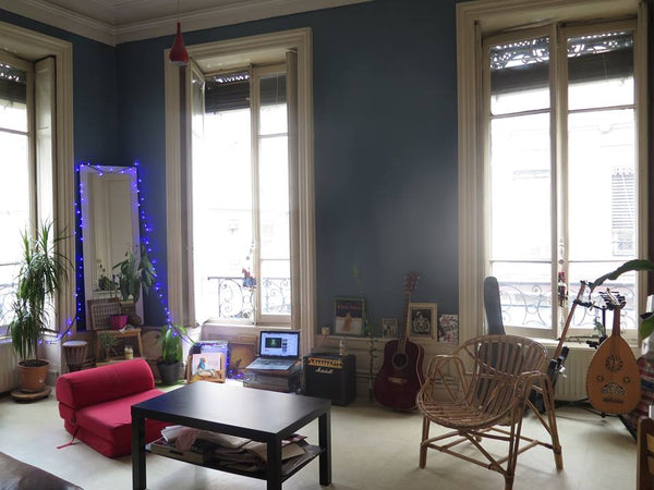 Homely, warm, inviting, spacious, very well looked after... The bedroom is prett Lyon, France Cute bedroom on the banks of the Rhône River Private room in rental unit vacation rental 22228555