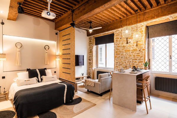 Stay in a chic and contemporary apartment, in the very heart of Lyon. <br /><br  Lyon, France Host Inn Spa et Cinéma Le Lumière Entire rental unit vacation rental 739816854894513143
