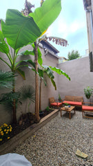 Ce logement paisible offre un séjour détente en famille ou entre amis.<br />Situ Bordeaux, France Jolie maison bordelaise Entire townhouse vacation rental 51339750